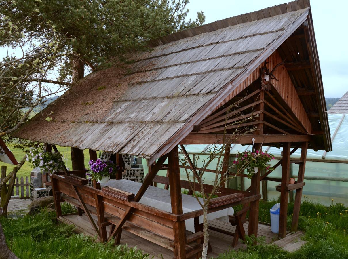 Casa Florea Poiana Stampei Dış mekan fotoğraf