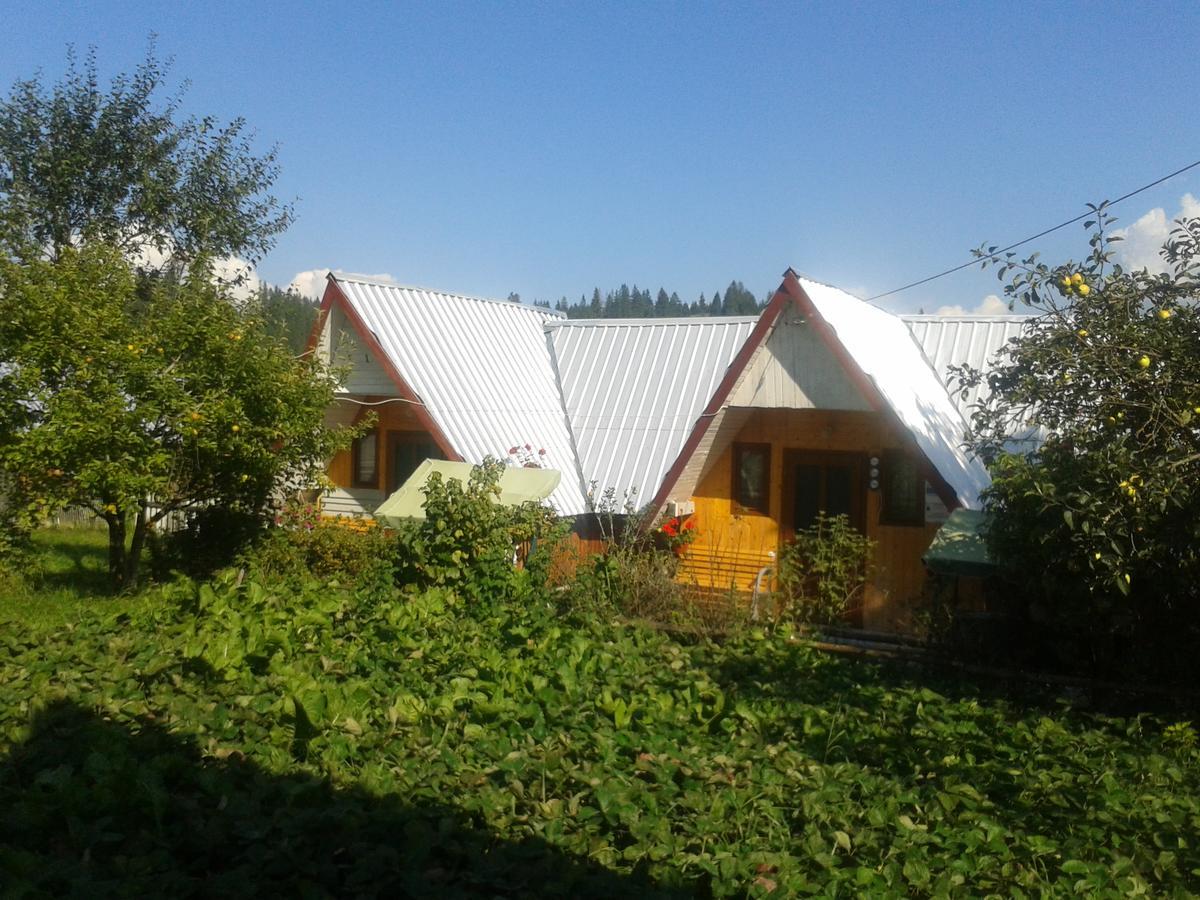 Casa Florea Poiana Stampei Dış mekan fotoğraf