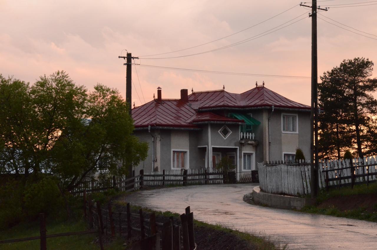 Casa Florea Poiana Stampei Dış mekan fotoğraf