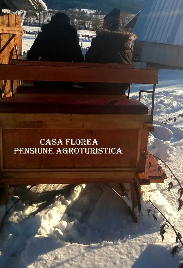 Casa Florea Poiana Stampei Dış mekan fotoğraf