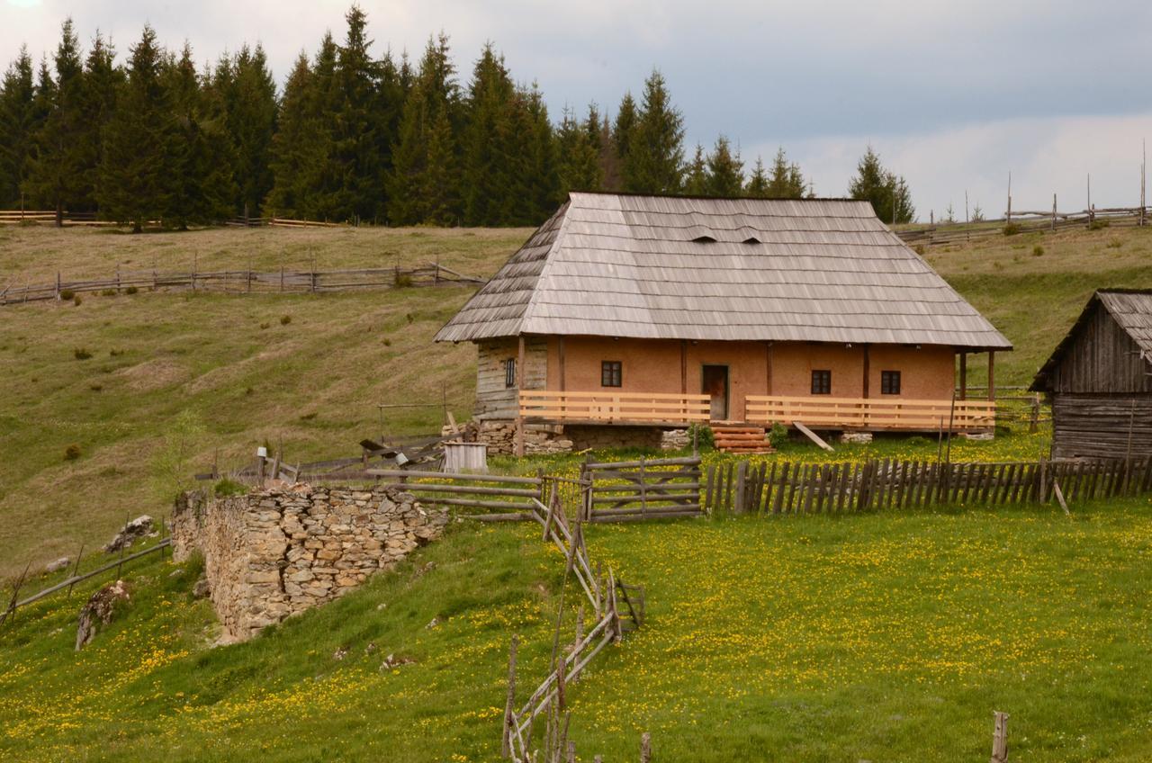 Casa Florea Poiana Stampei Dış mekan fotoğraf