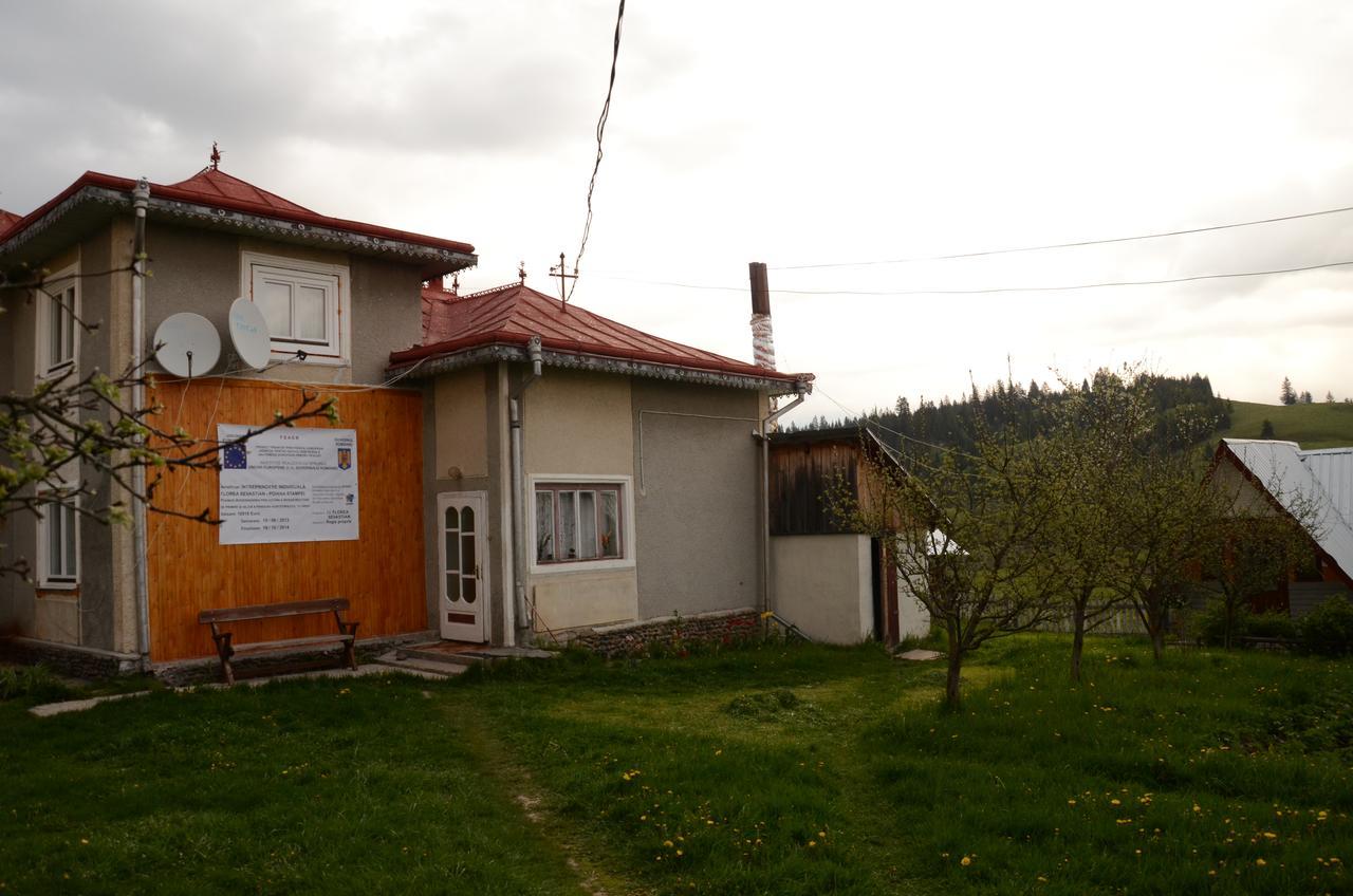 Casa Florea Poiana Stampei Dış mekan fotoğraf