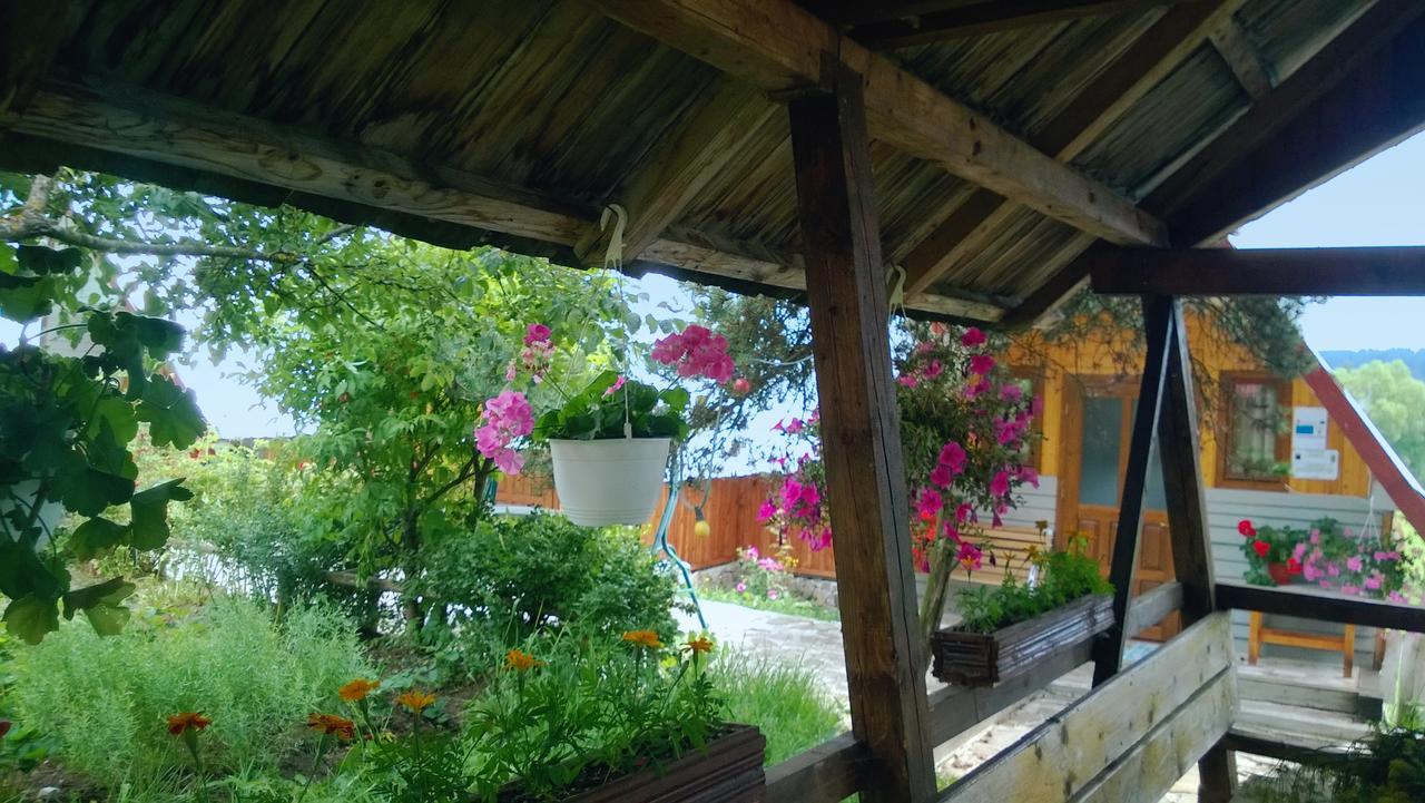 Casa Florea Poiana Stampei Dış mekan fotoğraf