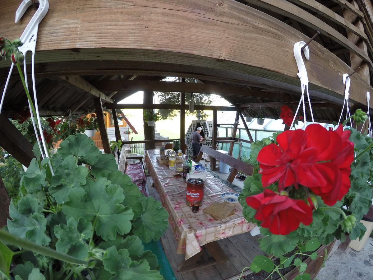 Casa Florea Poiana Stampei Dış mekan fotoğraf