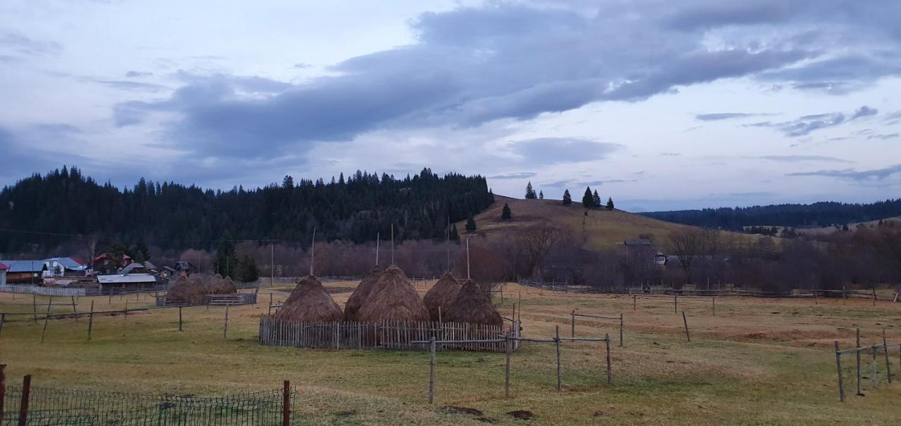 Casa Florea Poiana Stampei Dış mekan fotoğraf