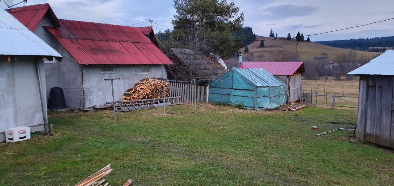 Casa Florea Poiana Stampei Dış mekan fotoğraf